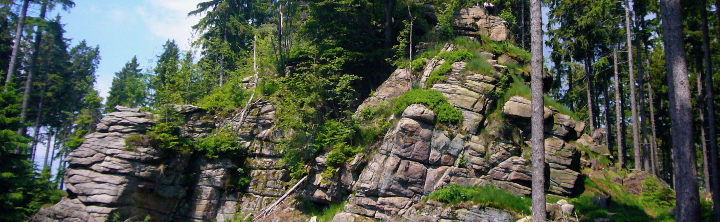 Ferienhaus Harz