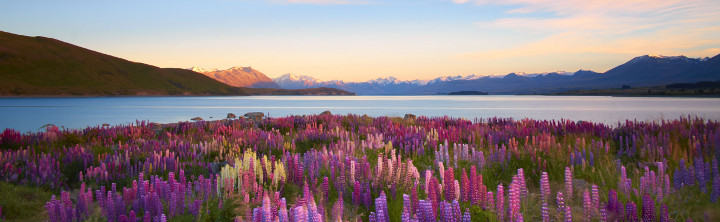 Urlaubsziele in Neuseeland