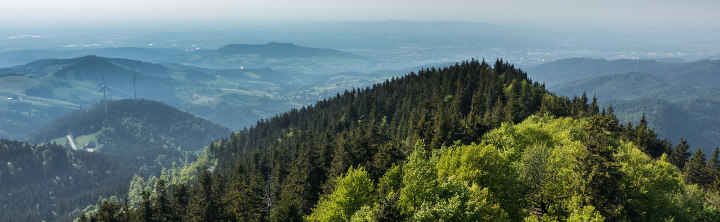 Hotel Offenburg