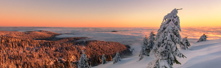 Hotel Schwarzwald