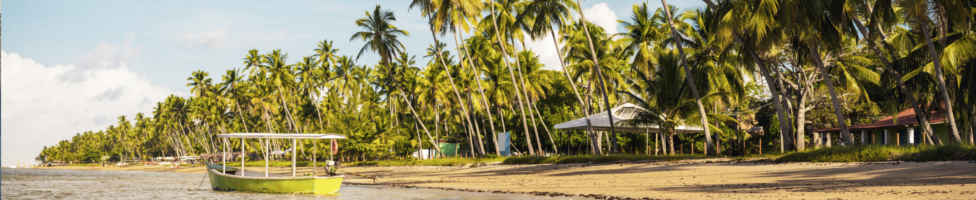 Die beste Reisezeit für Brasilien erfahren Sie hier bei 5vorflug.de!